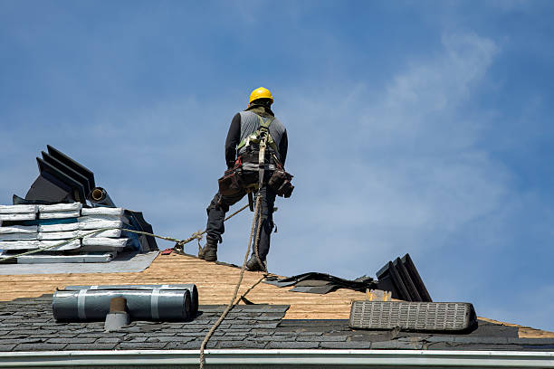 Professional Roof Repair technician working in Hilltop, MN